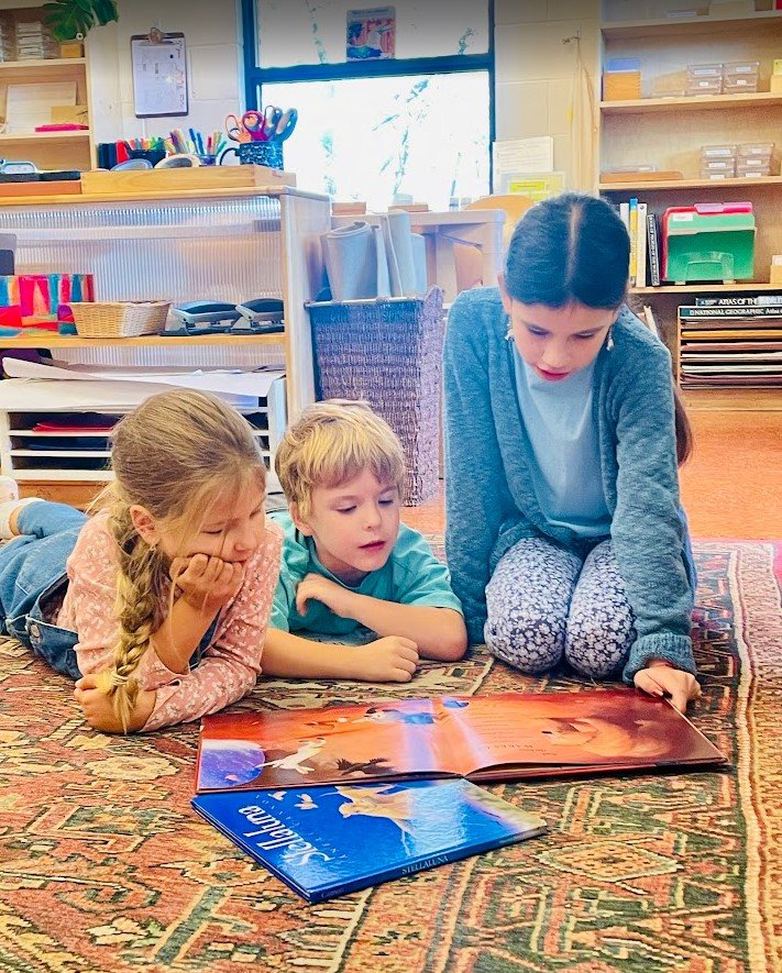 Weekly Update  Oct. 31 - Nov. 7